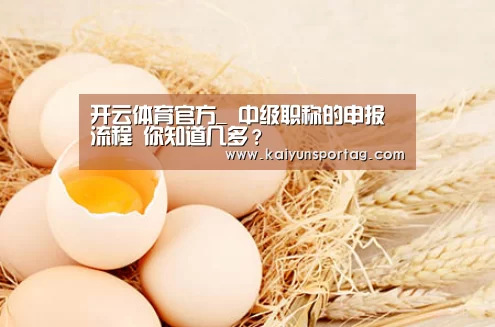 开云体育官网