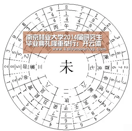 开云体育官网