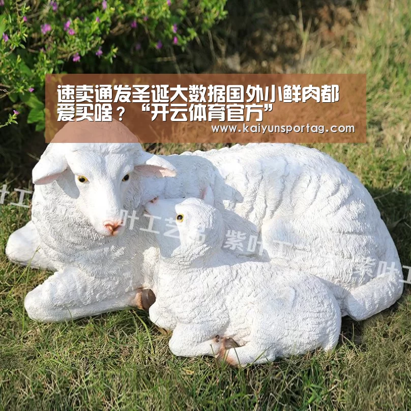 速卖通发圣诞大数据国外小鲜肉都爱买啥?“开云体育官方”(图3) 开云体育官方