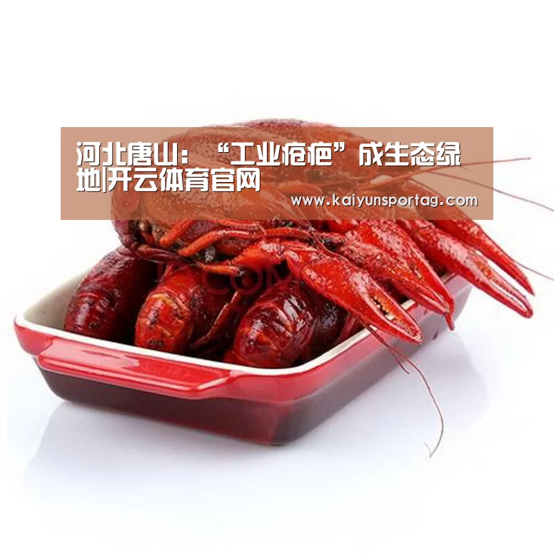 开云体育官方